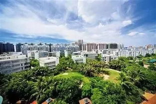 重磅 海南這4個地方被國家點名,將大力發展